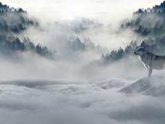 겨울 : 차갑고 추운 하얀 것