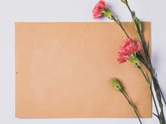 To. 호완 메이유이