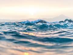 To. 메리엘 록시