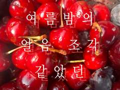 [GL] 여름밤의 얼음 조각 같았던 ep.1