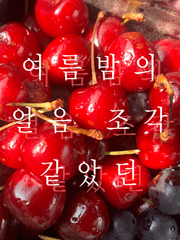 여름밤의 얼음 조각 같았던