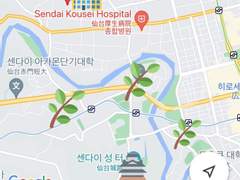 하이큐｜세이죠 위치 적폐망상