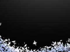 누군가를 비춰주고 싶은 빛