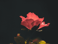 [망기무선] 불신(不信)의 대가(代價) - 14