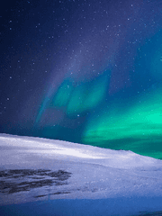 뮤지컬 프랑켄슈타인