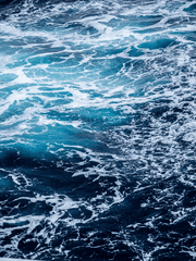 레베카 스핀오프