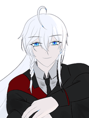 <불타버린 꿈 위에도 꽃은 피어나는가 > 플로리안 아이움