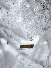 [고죠후시] 大雪