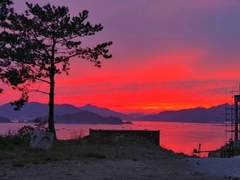 전해지지 않을 편지