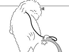 83. 잘오고있나?