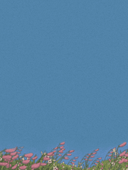 HQ 네임리스 드림글