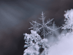 있잖아 화수야 날 왜 용서했어?