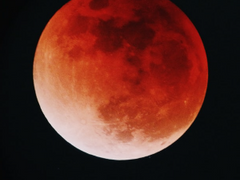 [캐릭터뷰] 배니싱 ‘케이’(feat. 배우 김종구)_08. (완)