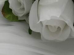 거기, 돈은 안 갚아도 되지?