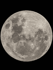 네가 내 달이다