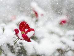 이름 없는 편지