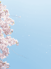 [드림] 벽계수 프로젝트