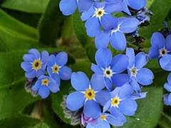 여백의 찬사에 대하여.