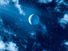 예성화 / 불명 / 소원인가 바람인가