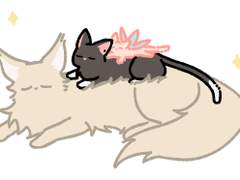 현윶결냥 스티커 배포