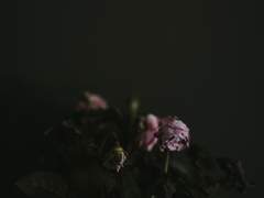 모든 것은 중얼거림처럼,