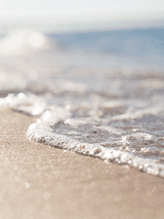 네버 엔딩 커튼콜