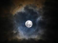 16화: 일곱 번째 꿈 <무사히 돌아올 것> (2)