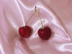 이안 R. 케이틀린/11/XY