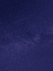 인커렉트 액세스