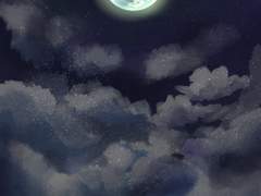 머리 맡과 앨범