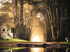 [로맨스/로판] 악녀관두려니까 이제는 성녀?