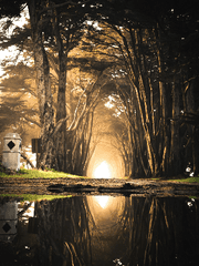 [로맨스/로판] 악녀관두려니까 이제는 성녀?