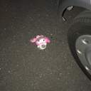 얼레벌레 돌아가는 쳇바퀴