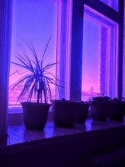 보라색이 가득한 방 안