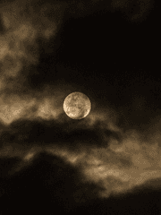 [당보청명] 그대, 나를 아는가?