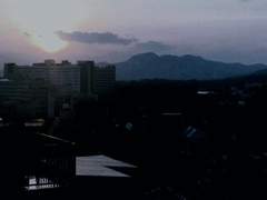 [션꿀] 낙하이론