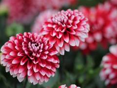 누구에게도 말하지 못하는 것이 무엇이던가,