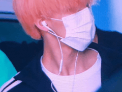 분홍머리의 사랑