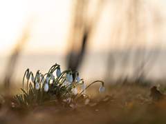 [연성교환] 이사야서 30장 21절