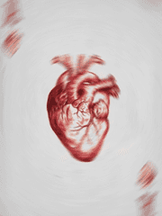 너의 심장이 찢길 때까지