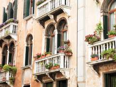 [일리야솔로] Fiore