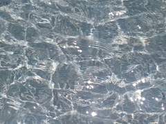 生きろ, そなたは美しい