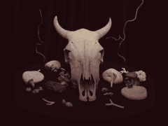 요르문간드 프로필