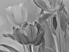 Unknown Ending (수정예정)