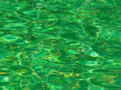 다들 깨끗하게 지내야지 않겠어요?