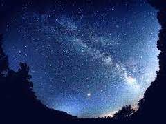 내가 생각하는 완벽한 미래