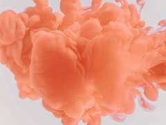 네가 싫은 10가지 이유, 둘