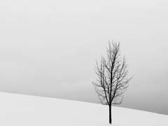 [리하크리] In winter