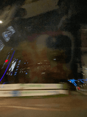 숲에서 사막까지