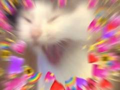 상시 글 커미션